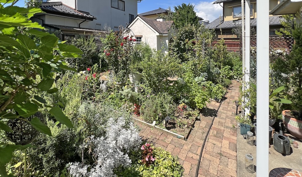 IMG 0349