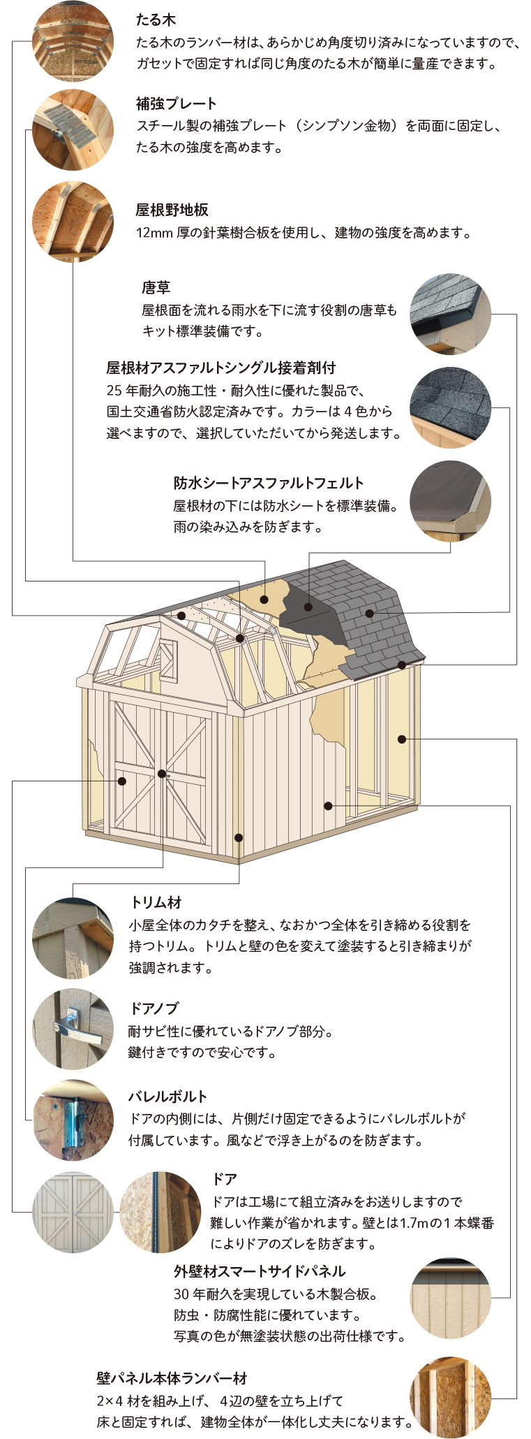 コンプリート 針葉樹 イラスト 針葉樹 いらすとや